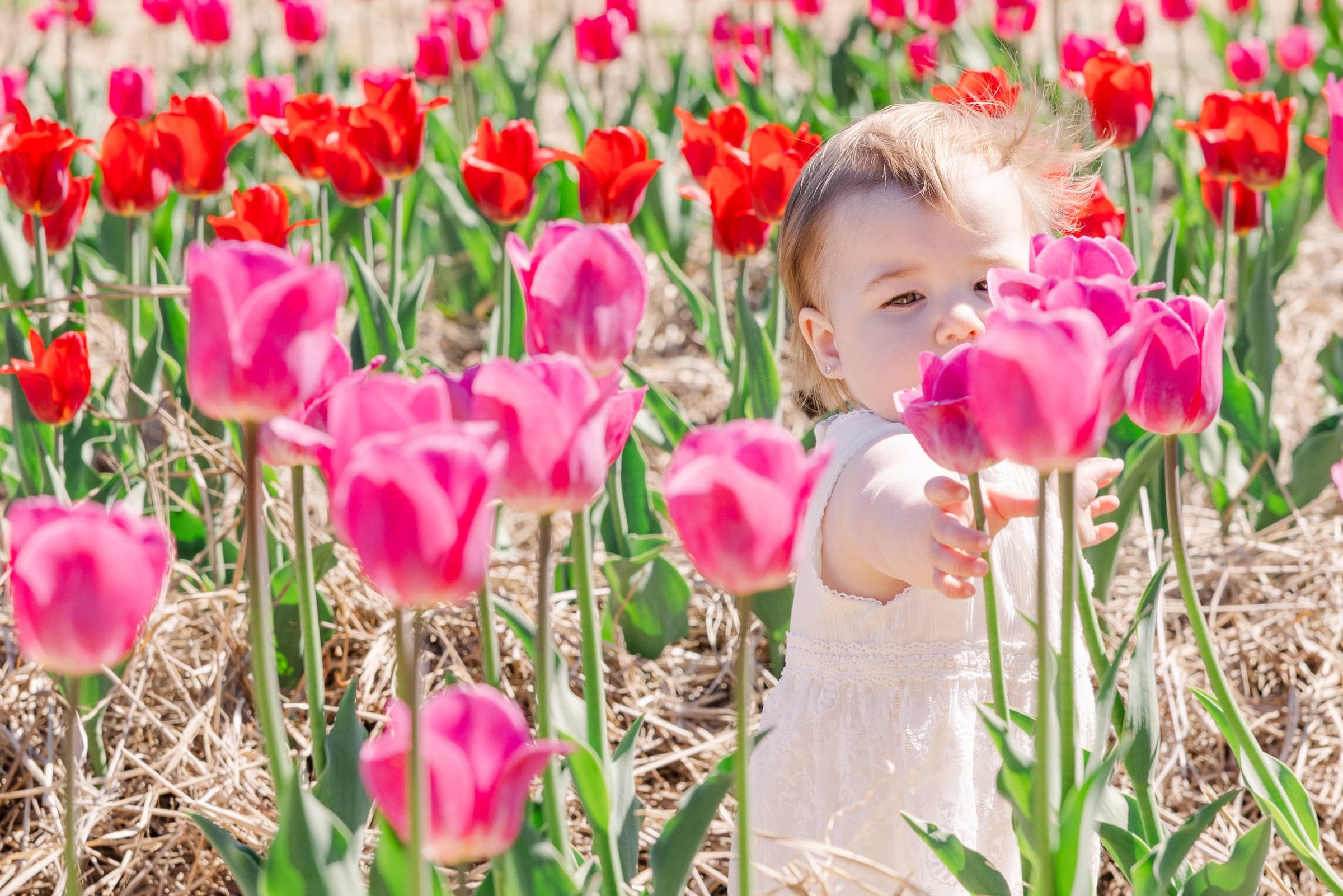 Montreal kids photographer Kar-Mei Quach — natural light portrait