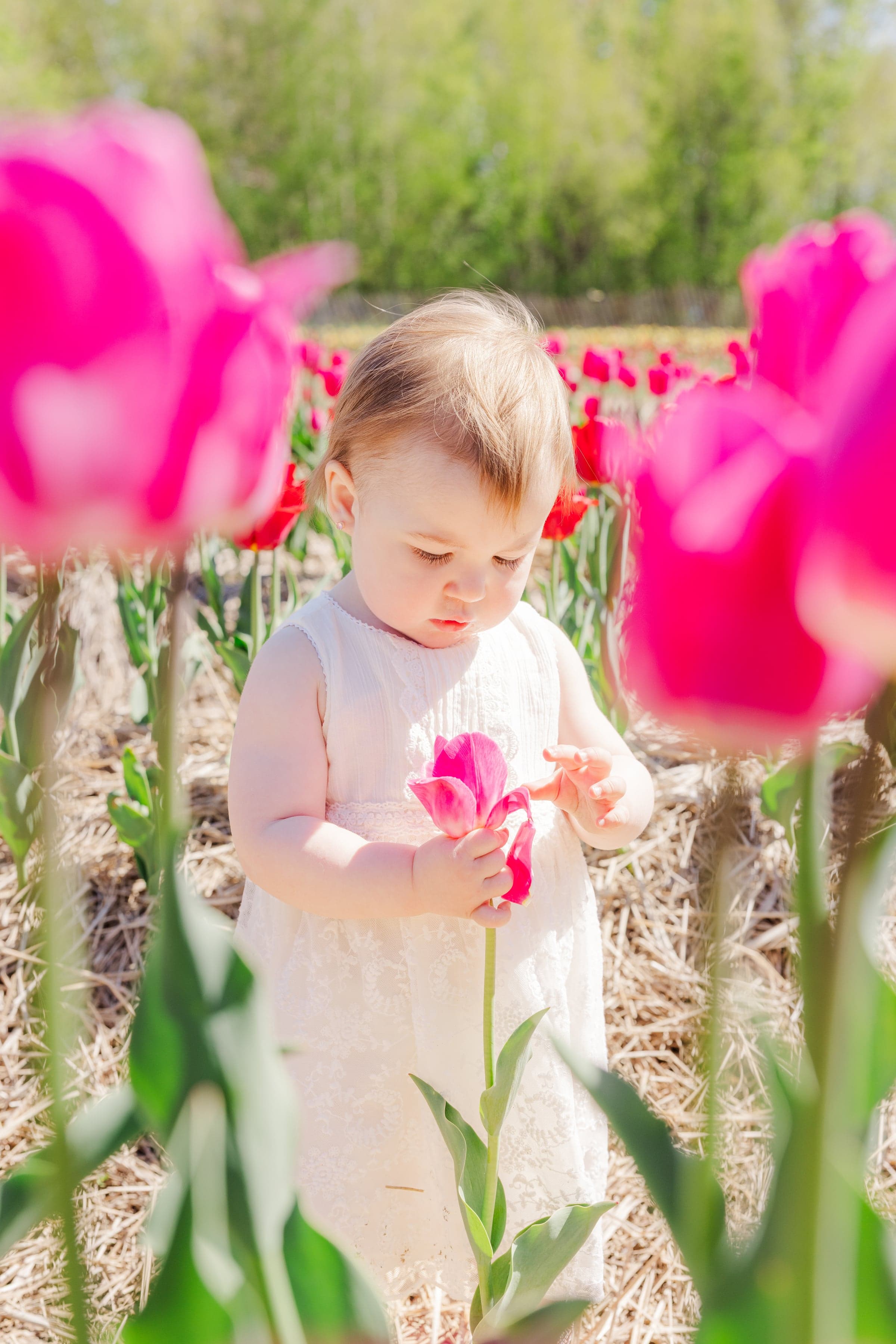 Children photography Montreal — Kar-Mei Quach Photography